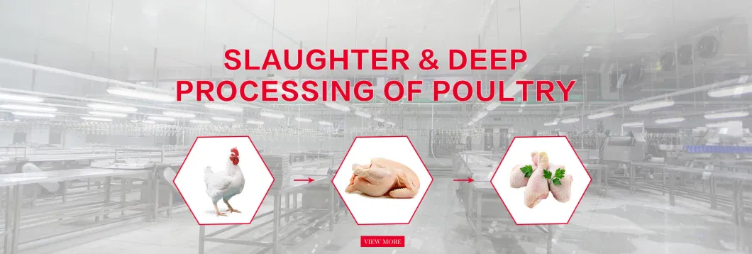 1000bph to 6000bph Automatical Poultry Duck Slaughtering Processing Equipment for Slaughterhouse