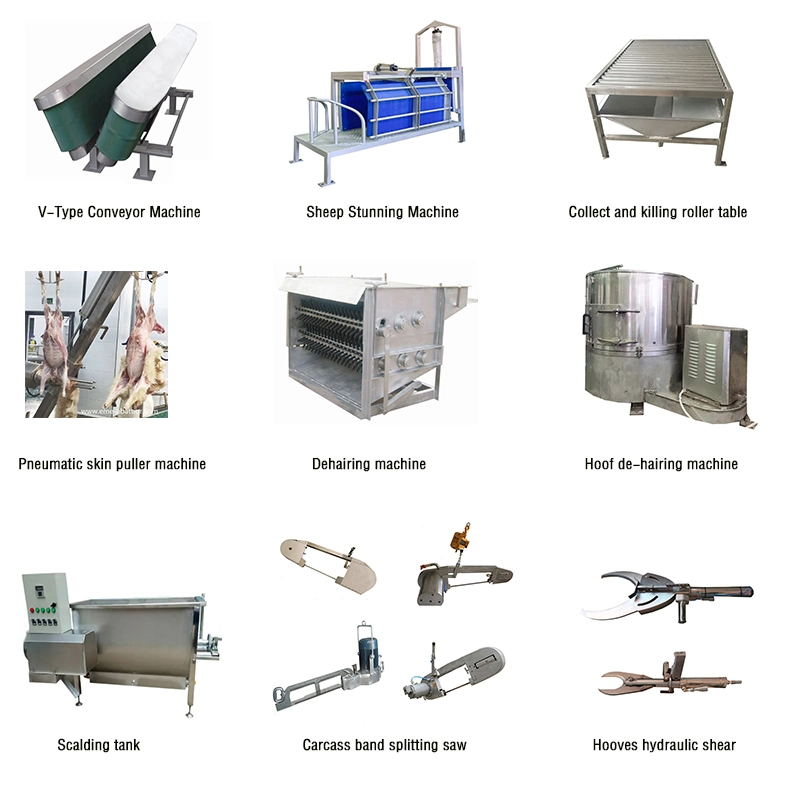 Motton Process Machine Sheep Slaughter Goat Abattoir Equipment